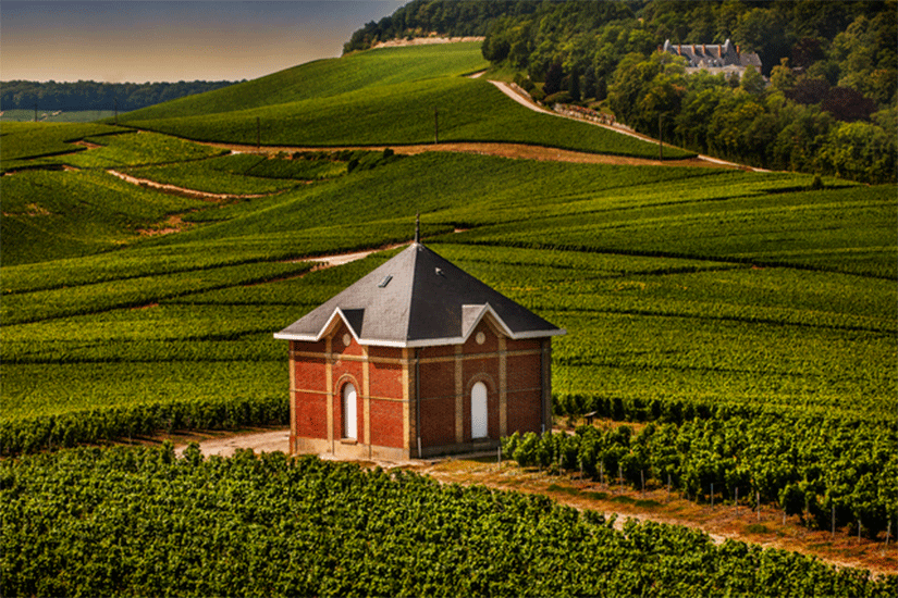 moet-chandon-vineyards-at-the-lo-ge-mont-aigu-3_low-width-640x-prop